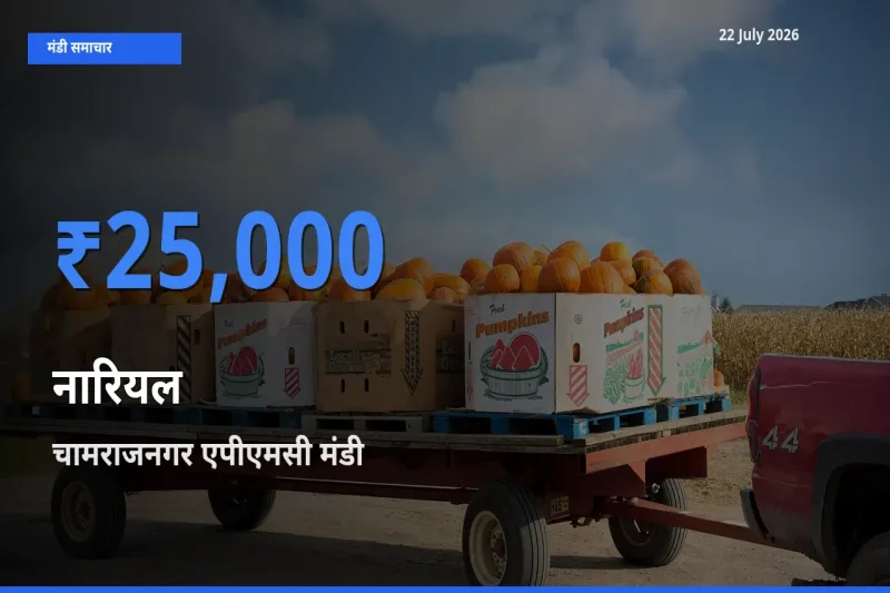 चामराजनगर एपीएमसी में नारियल का आज सबसे ऊँचा भाव