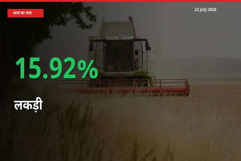 बाज़ार संकेत: लकड़ी के भाव मंडी में 15.92% ऊपर