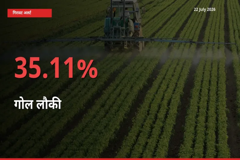 किसानों की चिंता बढ़ी! स्थानीय मंडी में गोल लौकी 35.11% गिरा
