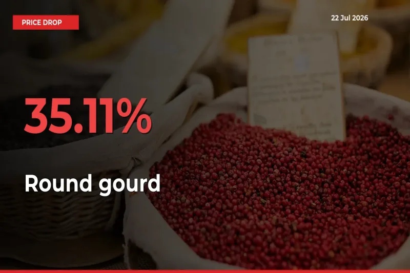 Sudden Shock! Round gourd Drops 35.11% in 24 Hours at Top Mandis