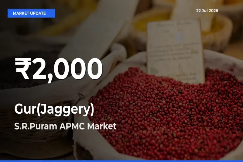 Farmers Concerned as Gur(Jaggery) Hits 30-Day Low in S.R.Puram APMC