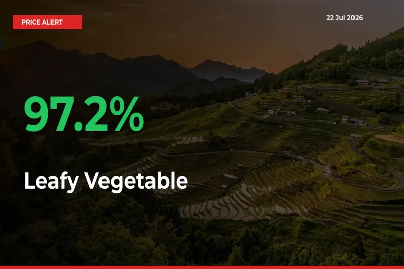 Farmers Cheer as Leafy Vegetable Prices Surge 97.2% in Local Mandis
