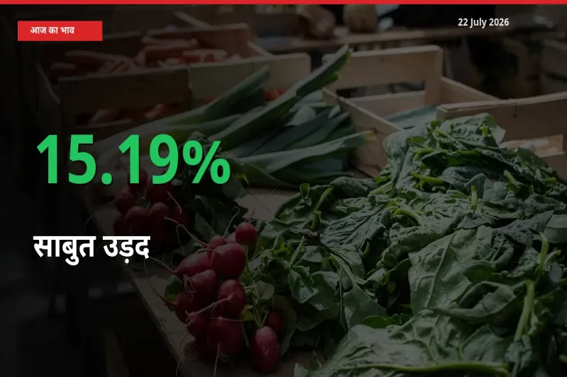 बाज़ार संकेत: साबुत उड़द के भाव मंडी में 15.19% ऊपर