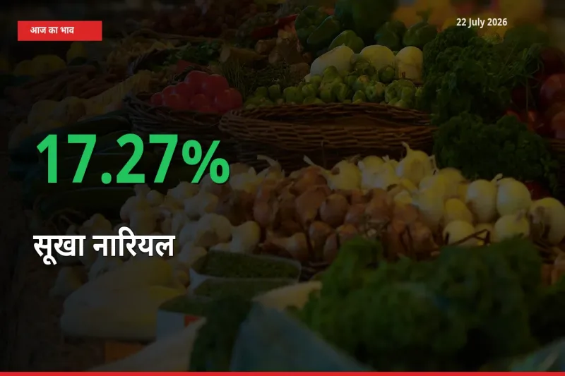 अचानक तेजी! मंडी में सूखा नारियल के दाम 17.27% चढ़े