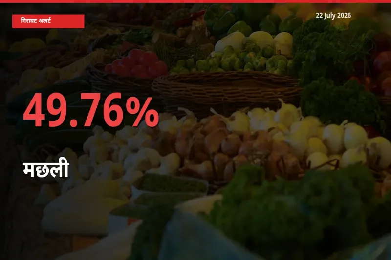 आज का मंडी भाव: मछली के दाम मंडी में 49.76% नीचे