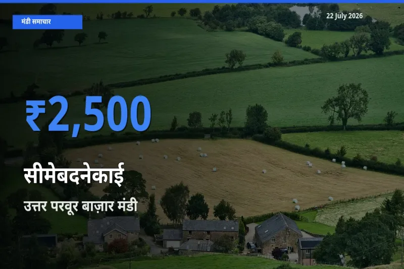 आज सीमेबदनेकाई के सबसे ज़्यादा दाम उत्तर परवूर बाज़ार मंडी में दर्ज