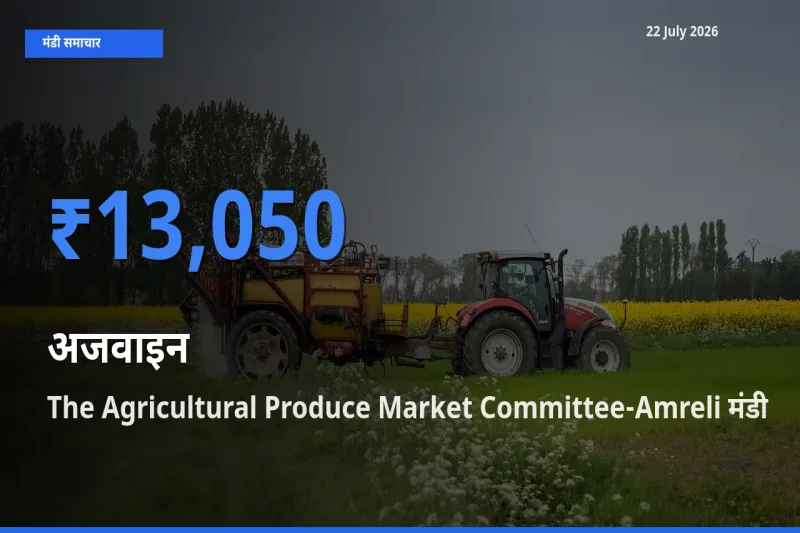 बाज़ार संकेत: The Agricultural Produce Market Committee-Amreli बना अजवाइन के लिए आज की टॉप मंडी