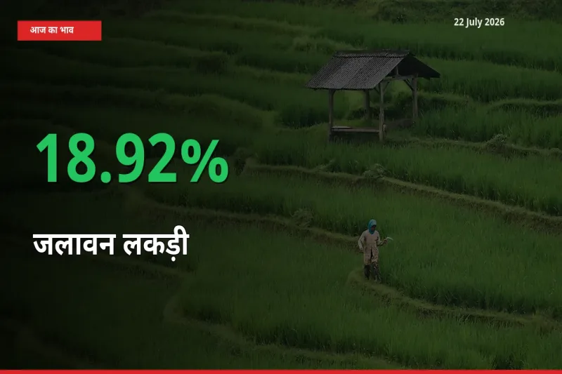 किसानों के लिए खुशखबरी! स्थानीय मंडी में जलावन लकड़ी 18.92% उछला