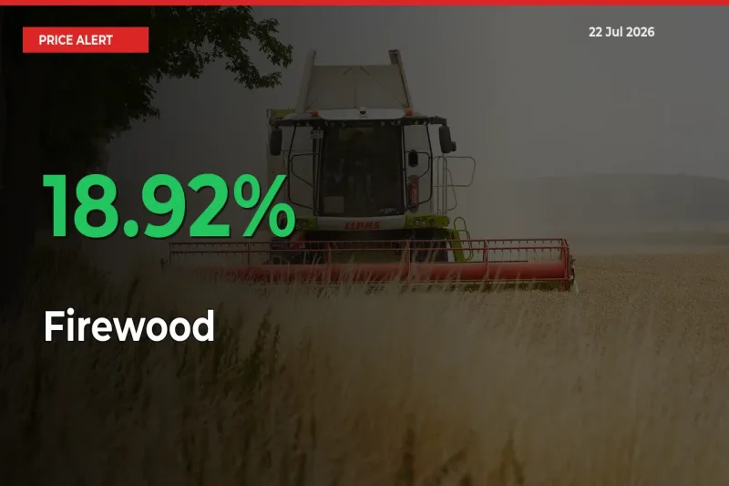 Firewood Prices Rise 18.92% in a Day at Major Mandis