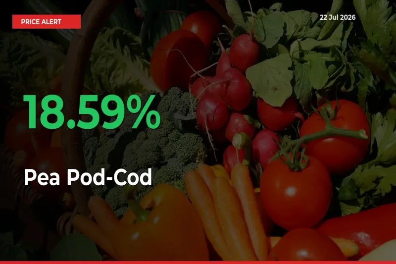 Pea Pod-Cod Mandi Rate Today: Prices Jump 18.59% at Market