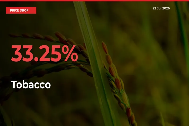 This Mandi Records 33.25% Fall in Tobacco Prices