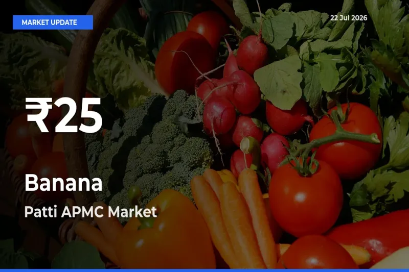 Big Drop! Banana Slides to 30-Day Low at Patti APMC