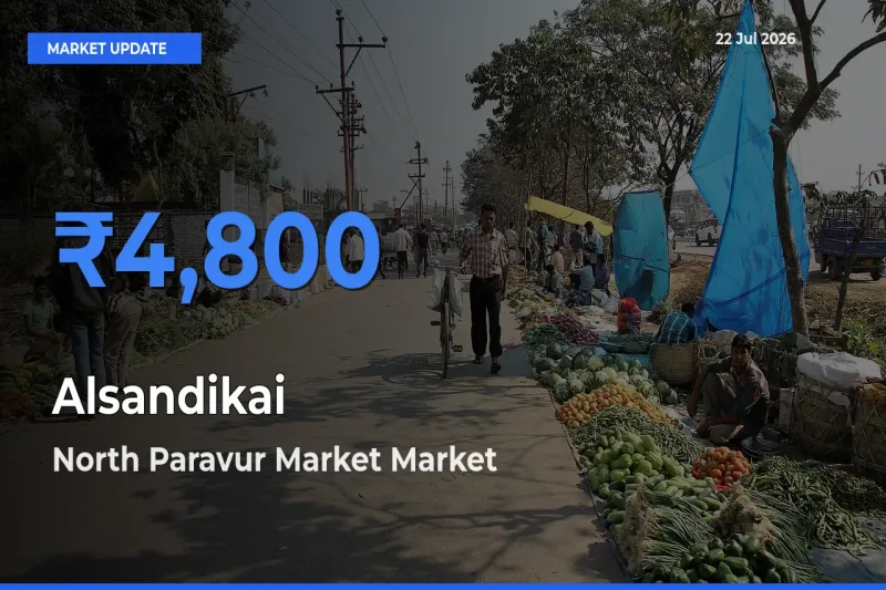 North Paravur Market Tops Alsandikai Rates – July 22 Market Update