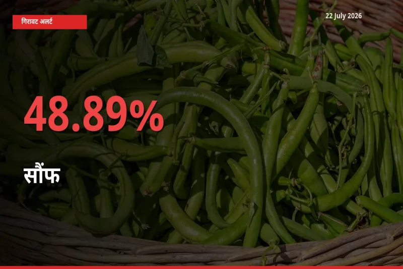 सौंफ 48.89% गिरा, मंडी