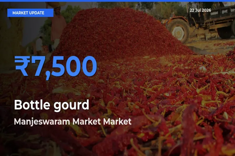 Manjeswaram Market Records Highest ₹7,500 Rate for Bottle gourd