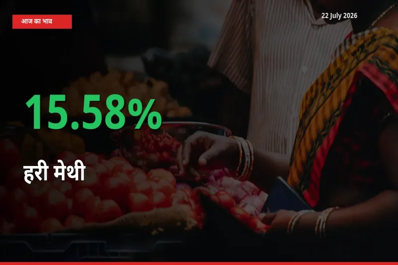 आज का मंडी भाव: हरी मेथी के दाम मंडी में 15.58% ऊपर