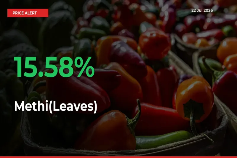 Methi(Leaves) Mandi Rate Today: Prices Jump 15.58% at Market