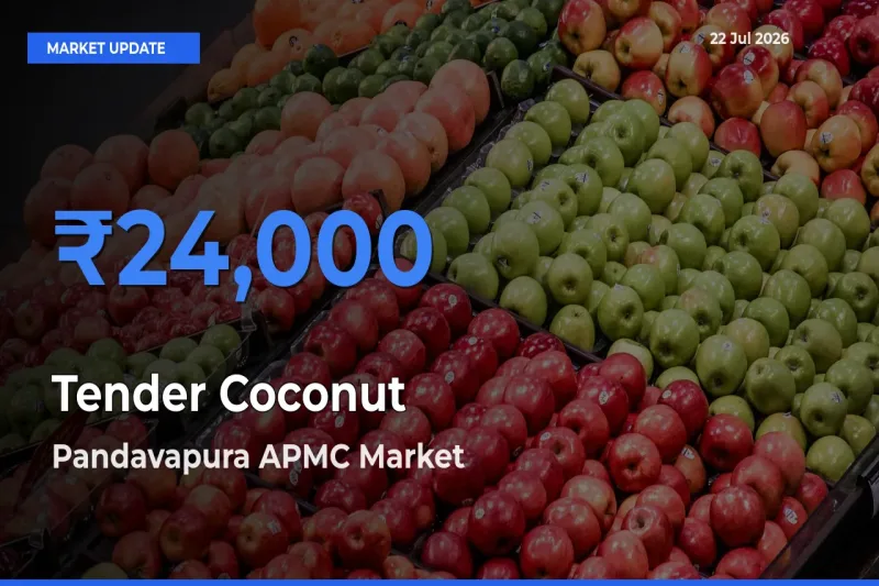 Pandavapura APMC Leads as Top Mandi for Tender Coconut Prices