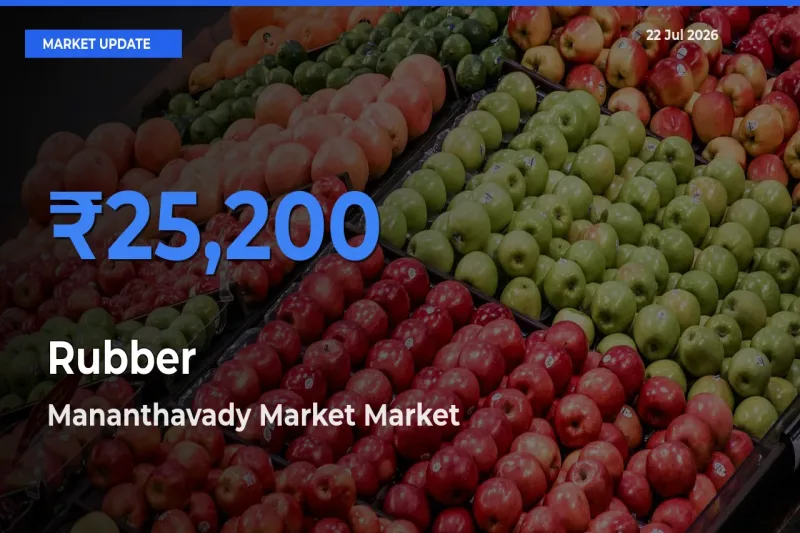 Mananthavady Market Records Highest ₹25,200 Rate for Rubber