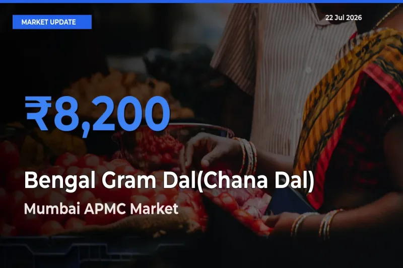 Mumbai APMC Leads as Top Mandi for Bengal Gram Dal(Chana Dal) Prices