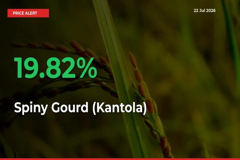 Spiny Gourd (Kantola) Rises 19.82% at Mandis