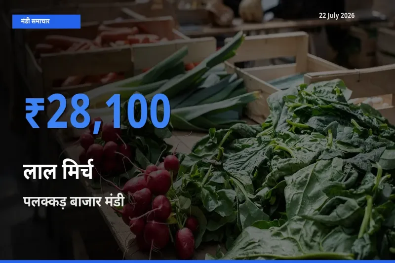 पलक्कड़ बाजार में लाल मिर्च का आज सबसे ऊँचा भाव