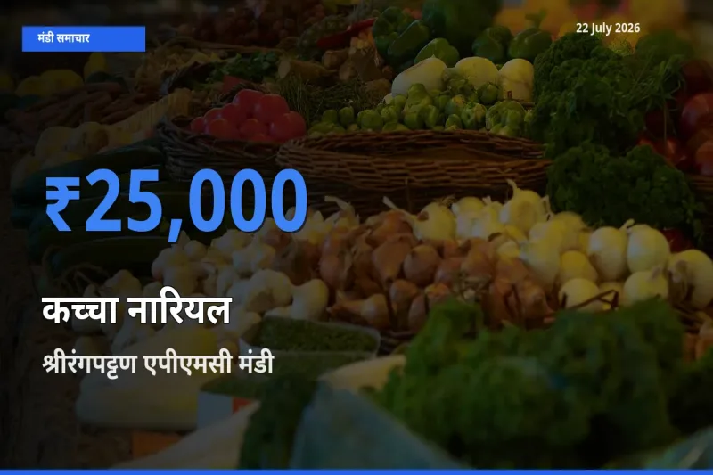 आज का मंडी भाव: कच्चा नारियल के सबसे ज़्यादा दाम श्रीरंगपट्टण एपीएमसी में