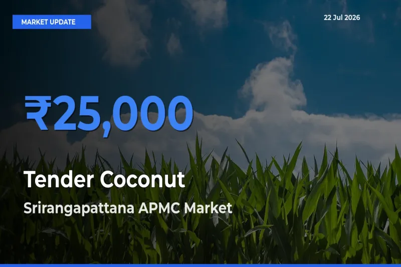 Srirangapattana APMC Offers ₹25,000 – Highest Tender Coconut Rate Today