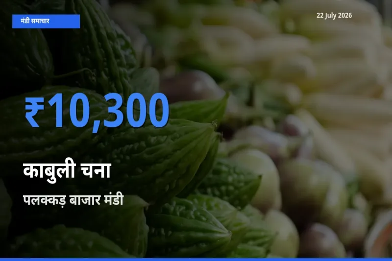किसानों की पसंद बना पलक्कड़ बाजार, काबुली चना के सबसे अच्छे दाम