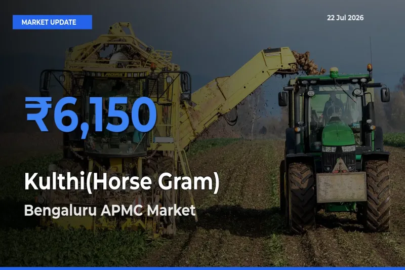 Bengaluru APMC Leads as Top Mandi for Kulthi(Horse Gram) Prices