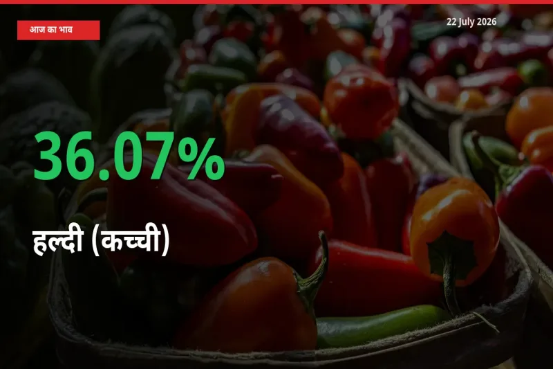 22 July अपडेट: हल्दी (कच्ची) के दाम मंडी में 36.07% उछले