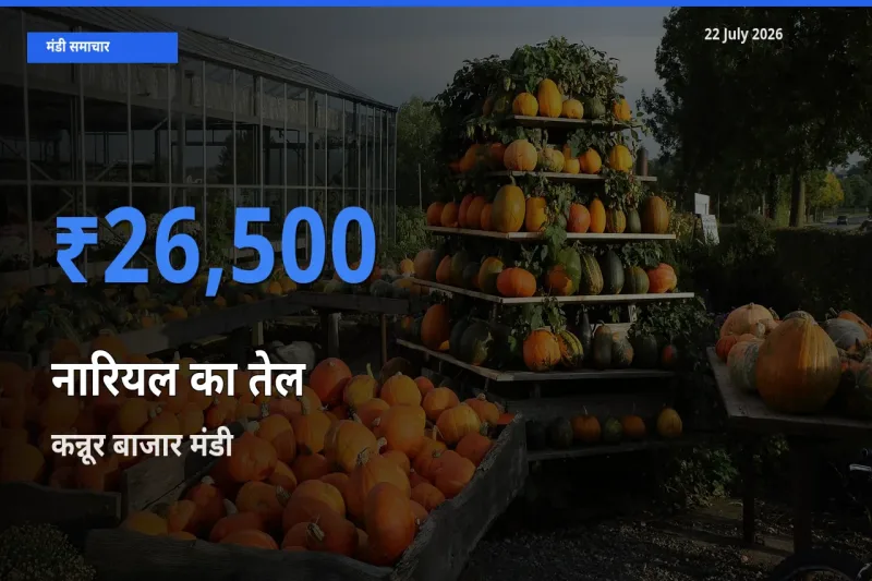 किसानों की पसंद बना कन्नूर बाजार, नारियल का तेल के सबसे अच्छे दाम