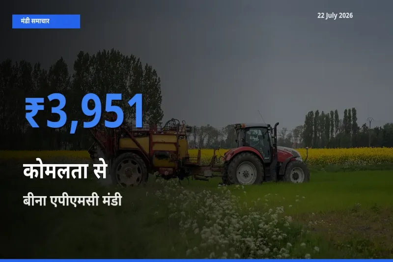 किसानों की पसंद बना बीना एपीएमसी, कोमलता से के सबसे अच्छे दाम