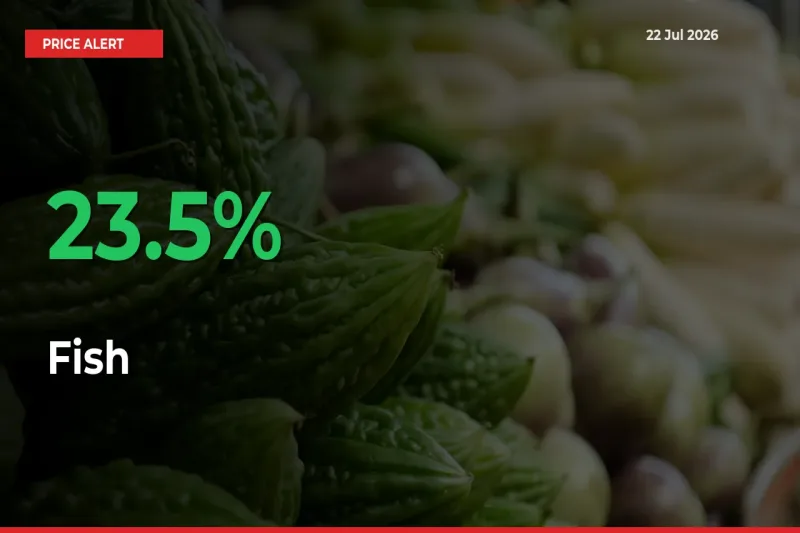 Fish Mandi Rate Today: Prices Jump 23.5% at Market