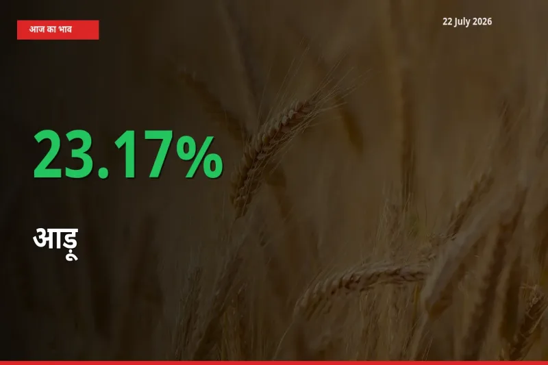 22 July अपडेट: आड़ू के दाम मंडी में 23.17% उछले