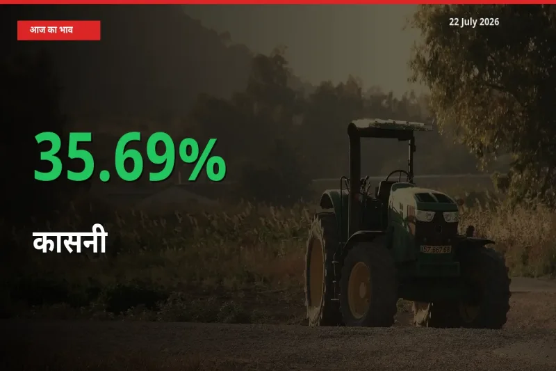 स्थानीय मंडी में कासनी के दाम अचानक 35.69% उछले, किसान सतर्क