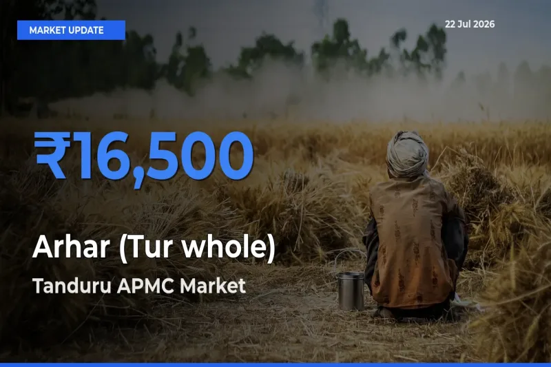 Tanduru APMC Leads as Top Mandi for Arhar (Tur whole) Prices