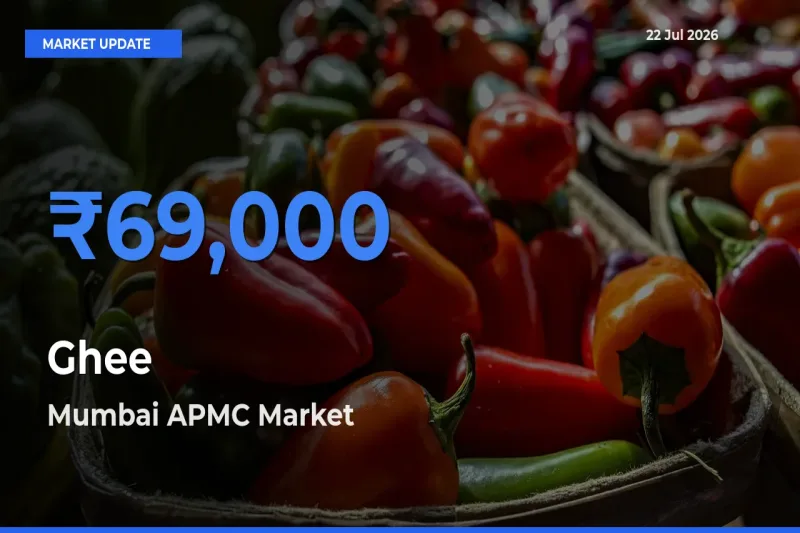 Market Watch: Mumbai APMC Becomes Top Mandi for Ghee