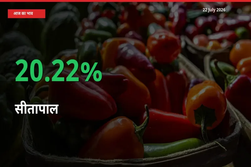 स्थानीय मंडी में सीतापाल के दाम अचानक 20.22% उछले, किसान सतर्क