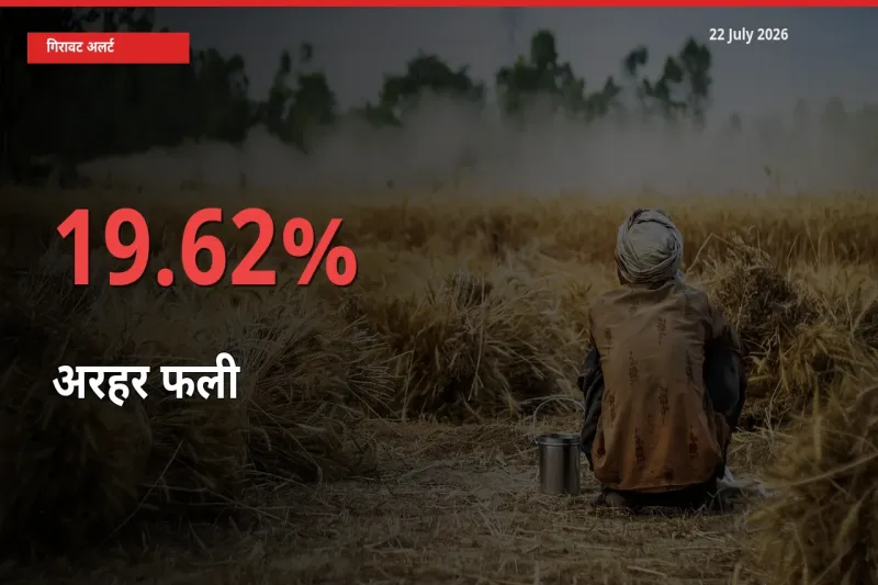 आज का मंडी भाव: अरहर फली के दाम मंडी में 19.62% नीचे