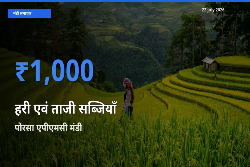 पोरसा एपीएमसी में हरी एवं ताजी सब्जियाँ का आज सबसे ऊँचा भाव