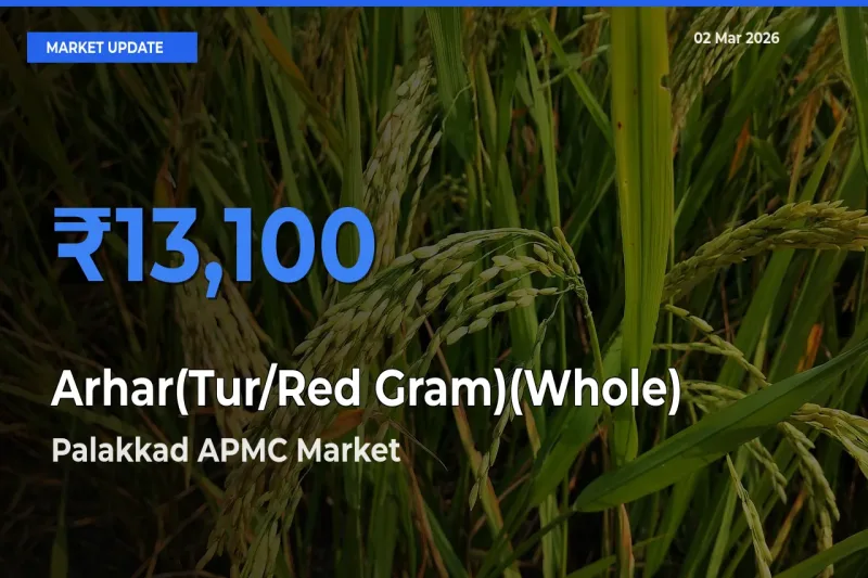 Palakkad APMC Tops Arhar(Tur/Red Gram)(Whole) Rates – March 02 Market Update