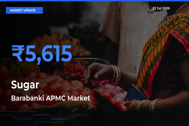 Barabanki APMC Tops Sugar Rates – July 22 Market Update