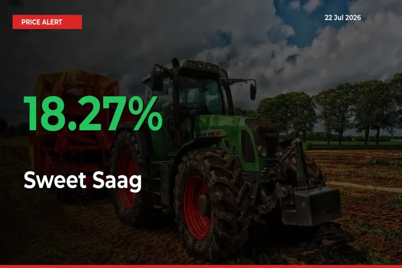 Sweet Saag Rises 18.27% at Mandis