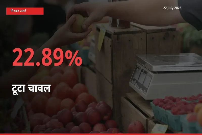 22.89% की गिरावट! मंडी में टूटा चावल के दाम अचानक टूटे