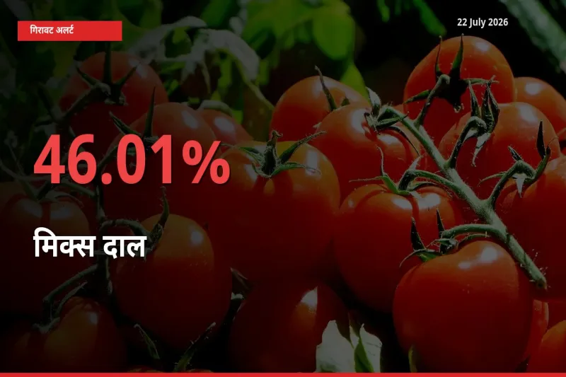 मिक्स दाल के दाम प्रमुख मंडी में 46.01% गिरे, 24 घंटे में बड़ा बदलाव