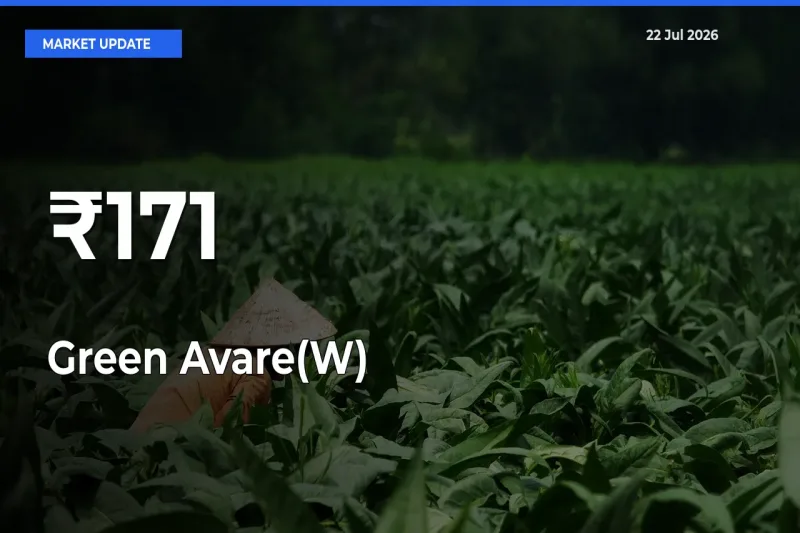 Green Avare(W) Trend Strengthens Across Major Mandis