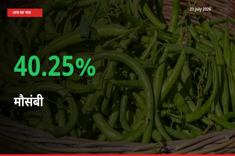 स्थानीय मंडी में मौसंबी के दाम अचानक 40.25% उछले, किसान सतर्क