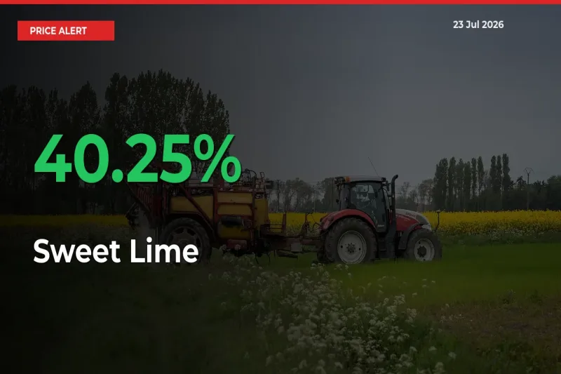 Farmers Cheer as Sweet Lime Prices Surge 40.25% in Local Mandis