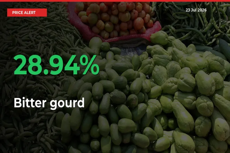 Why Bitter gourd Prices Rose 28.94% in a Day at Mandis